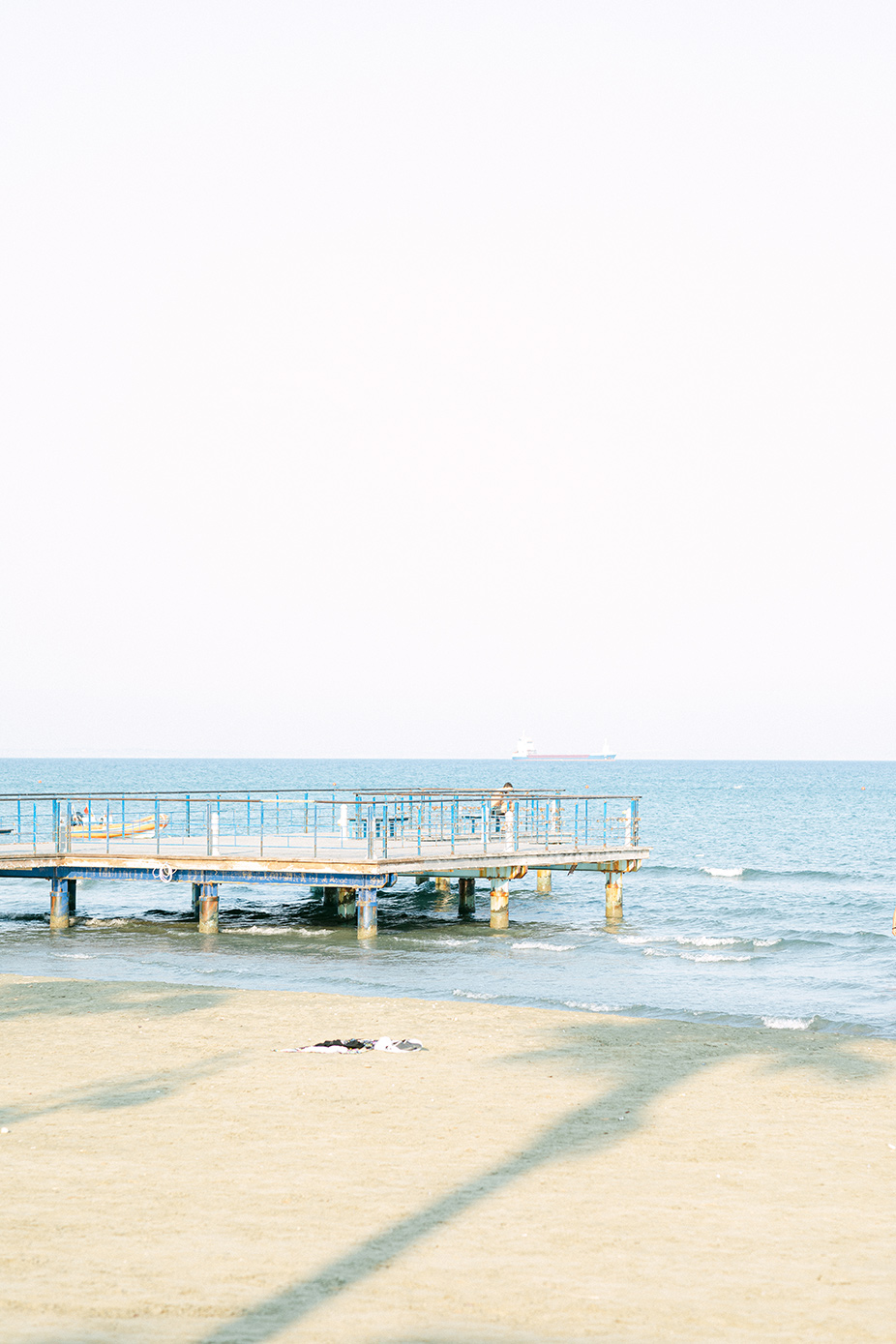 Engagement Photographer